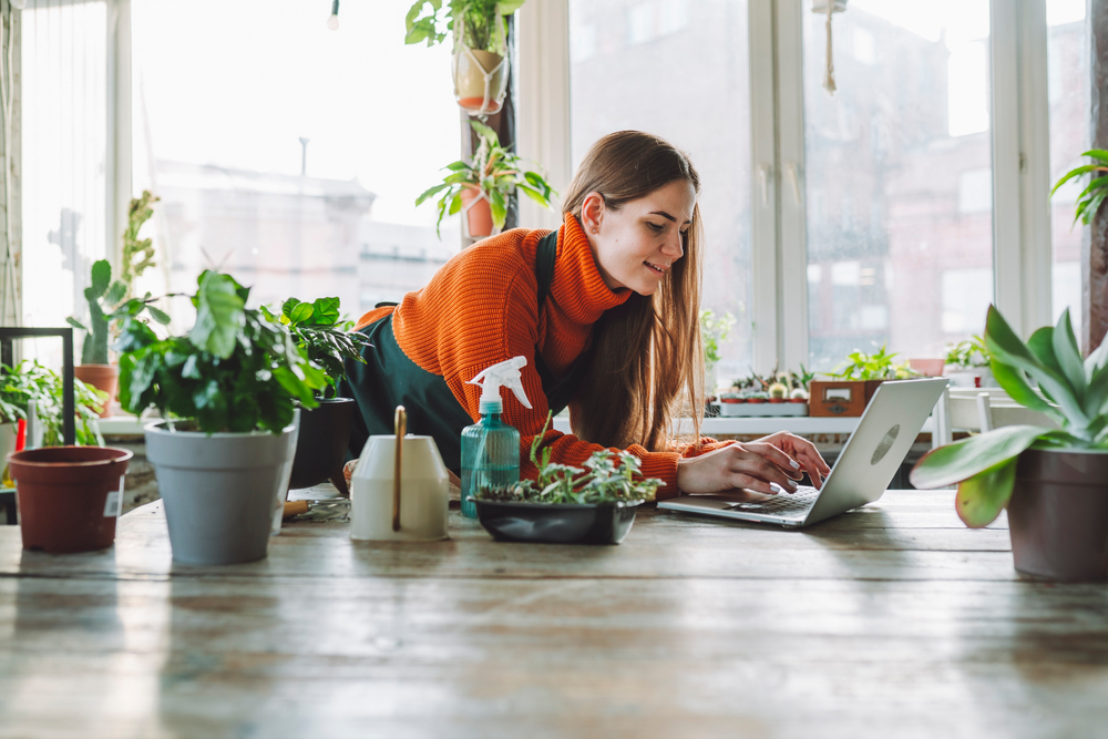 6개월 미만 사업자 대출 완벽 가이드